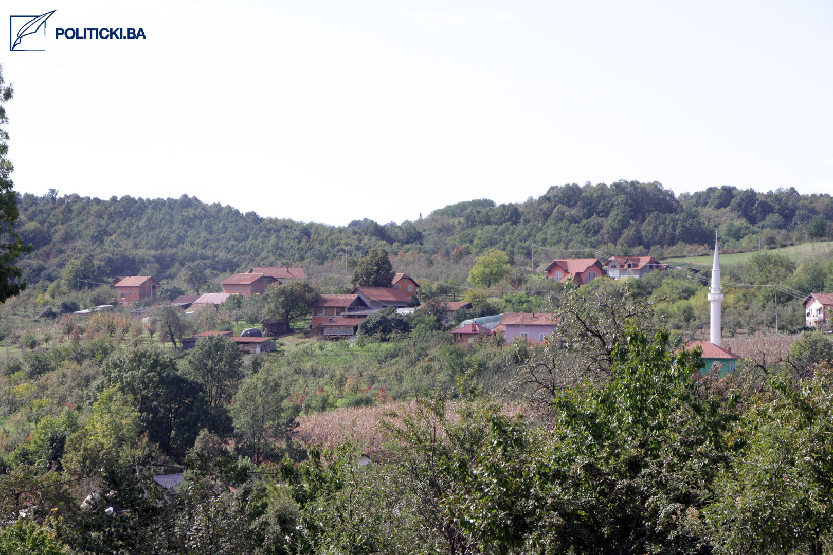 Kome smeta ljiljan u Gajevima na području Koraja - slika 6
